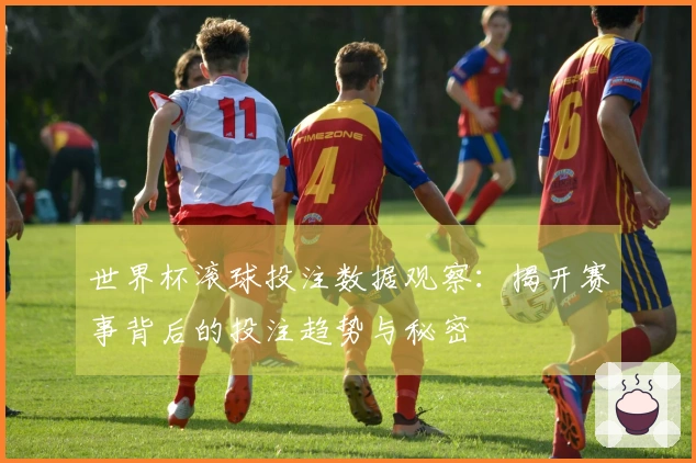 世界杯滚球投注数据观察：揭开赛事背后的投注趋势与秘密