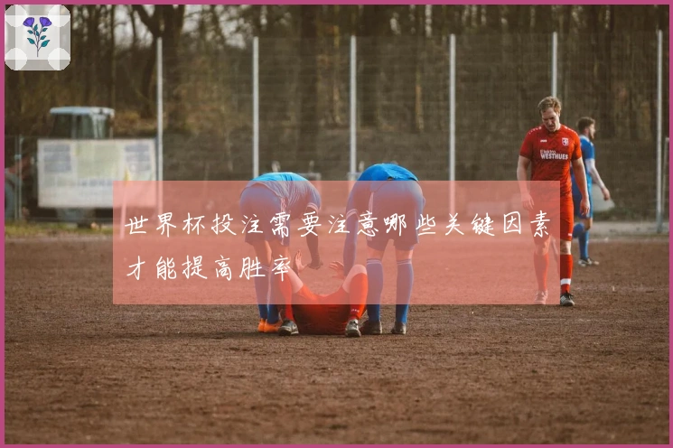 世界杯投注需要注意哪些关键因素才能提高胜率