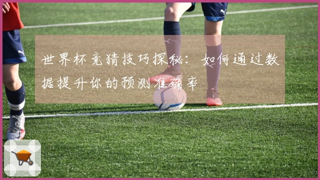 世界杯竞猜技巧探秘：如何通过数据提升你的预测准确率