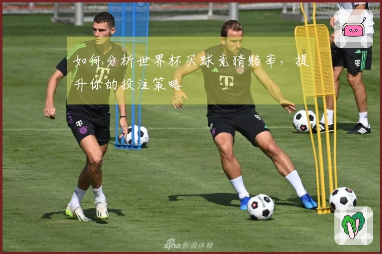 如何分析世界杯买球竞猜赔率,提升你的投注策略