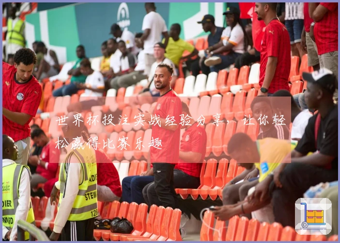 世界杯投注实战经验分享，让你轻松赢得比赛乐趣