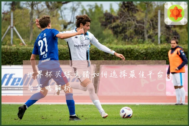 世界杯买球竞猜如何选择最佳平台与策略解析