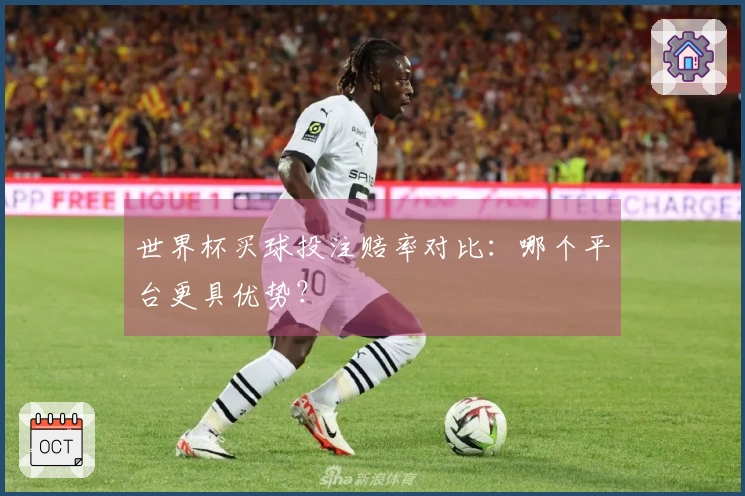 世界杯买球投注赔率对比：哪个平台更具优势？