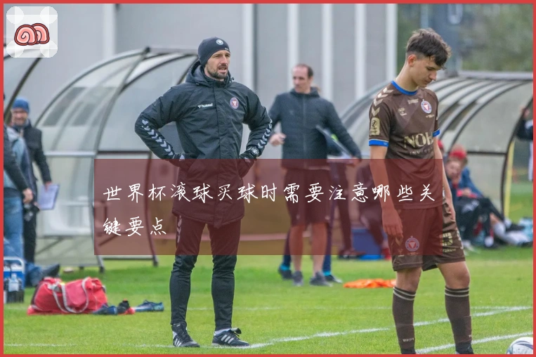 世界杯滚球买球时需要注意哪些关键要点