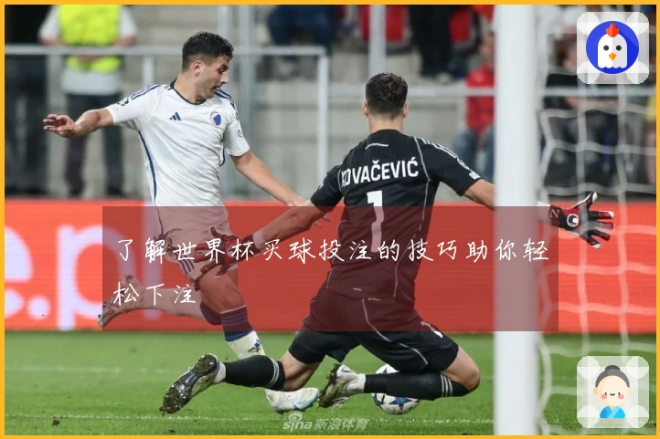 了解世界杯买球投注的技巧助你轻松下注