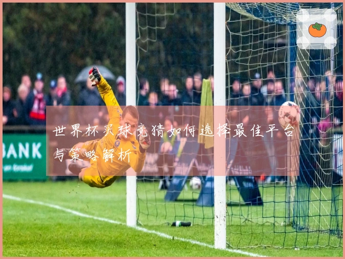 世界杯买球竞猜如何选择最佳平台与策略解析